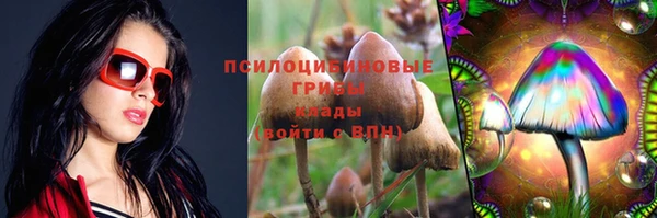 мдма Козельск