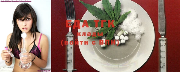 индика Корсаков