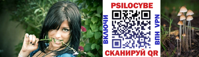 Купить закладки  Киржач  Галлюциногенные грибы мухоморы 